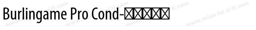 Burlingame Pro Cond字体转换